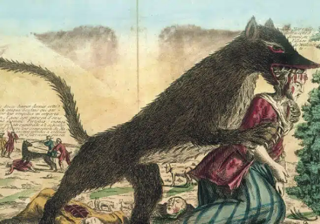 Une gravure d'époque d'une des plus célèbres créatures légendaires de France (bien qu'ayant bien existé) : la bête du Gévaudan