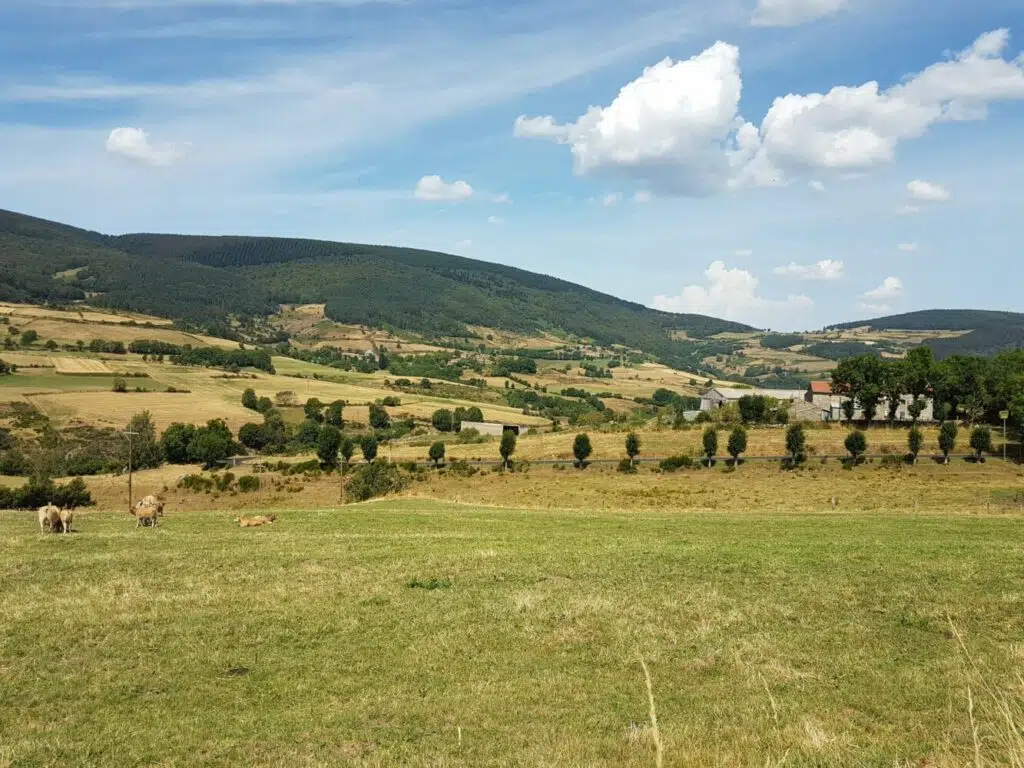 Le mont Mouchet et les bois de la Ténazeyre vus depuis La Besseyre-Saint-Mary