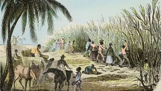 Colonisation des Antilles