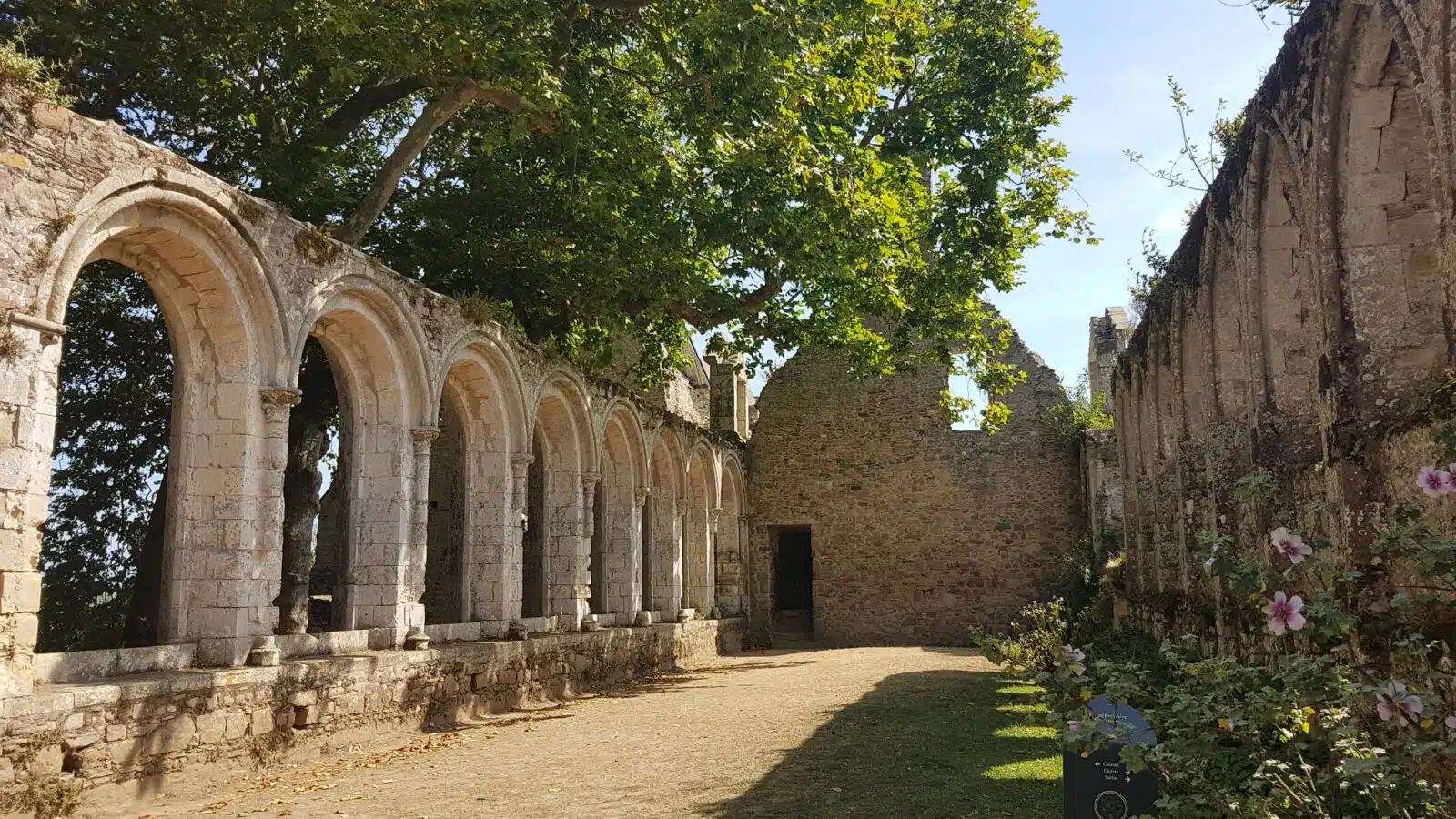 Photographie des ruines de l'ancienne cantine de l'abbaye de Beauport (Côtes d'Armor, Bretagne)