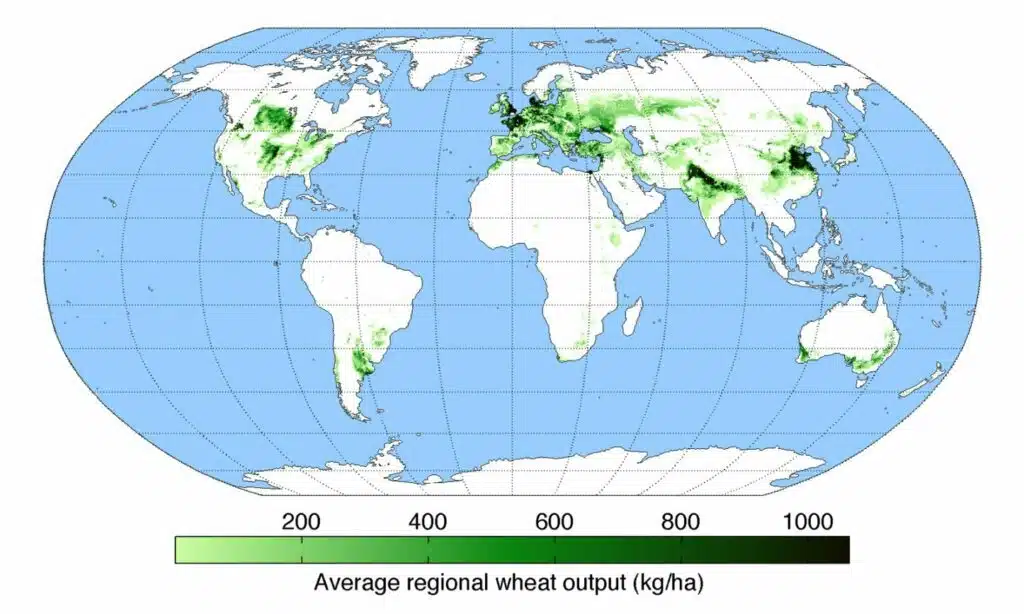 Carte du rendement de la production de blé dans le monde ! 