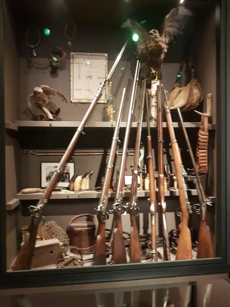 Collection de fusils d'époque au musée des Vallées cévenoles de Saint-Jean-du-Gard