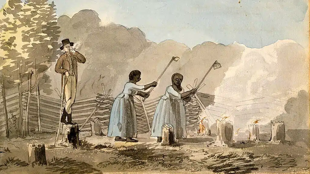 Esclaves au travail dans une plantation de Virginie en 1798