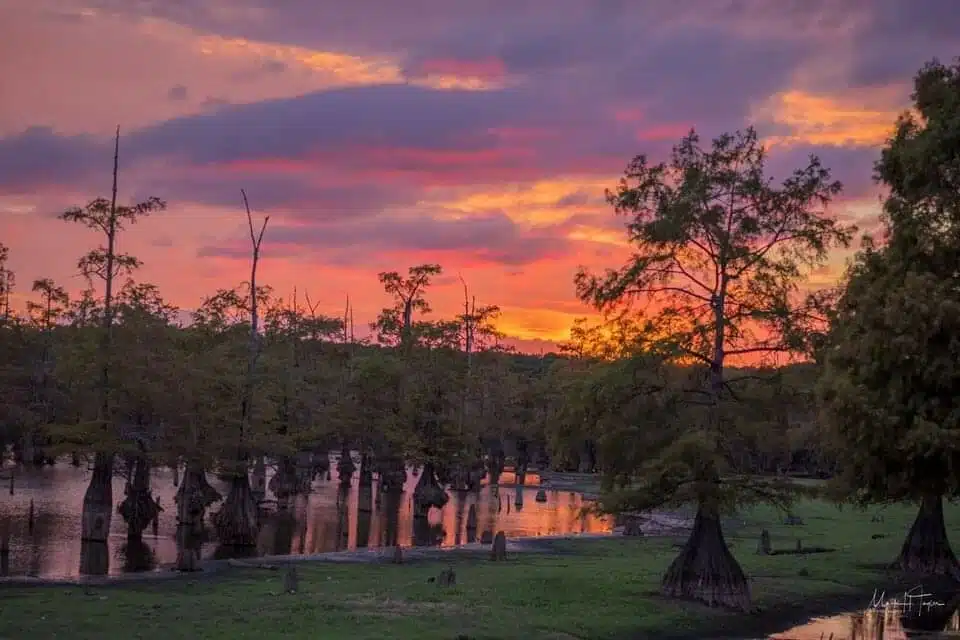 Coucher de soleil sur le bayou de Louisiane